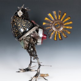 Yellow Tailed Rooster